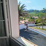 Camou