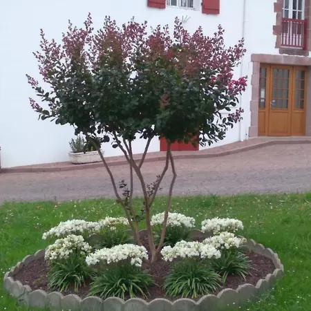 Camou Szálloda