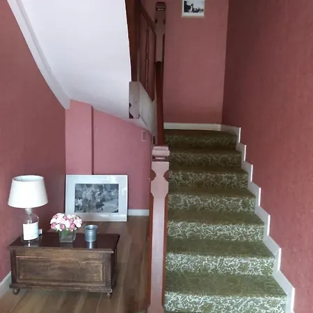 Hotel Camou