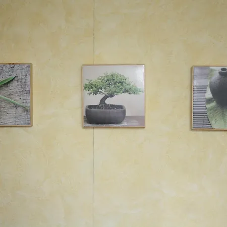 Hotel Camou Uhart-Cize