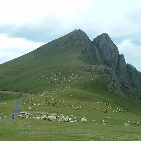 Hotel Camou Uhart-Cize