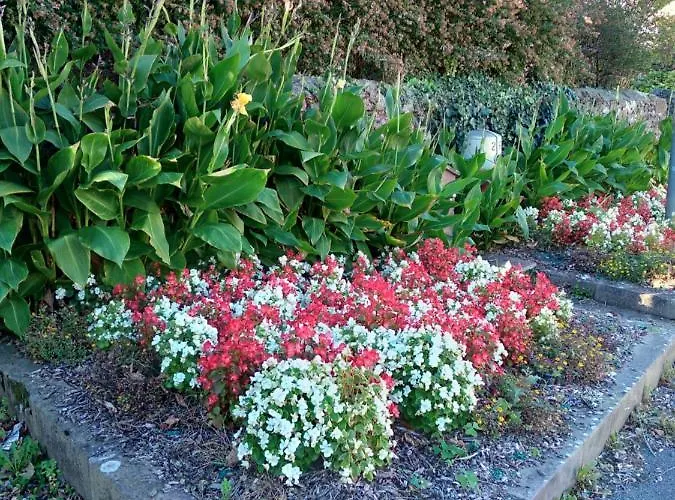 Hotel Camou Uhart-Cize