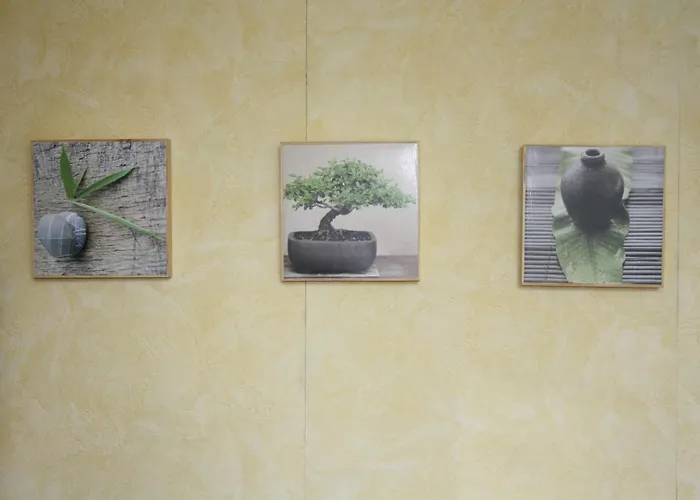 Hotel Camou Uhart-Cize