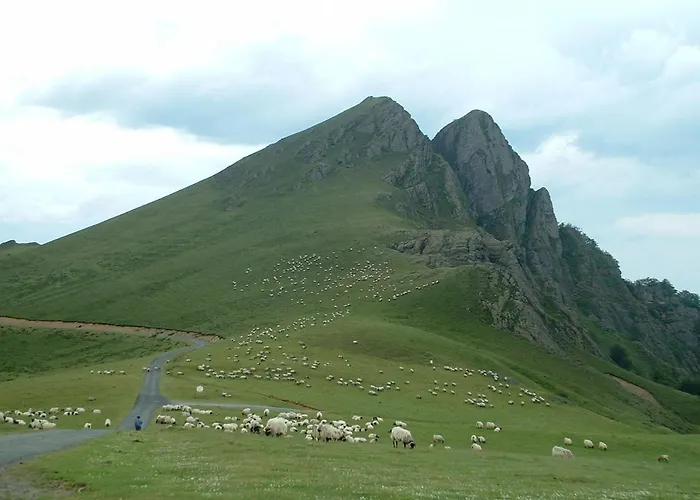 Hotel Camou Uhart-Cize